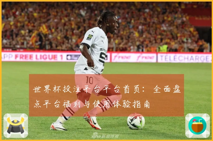 世界杯投注平台平台首页：全面盘点平台福利与使用体验指南