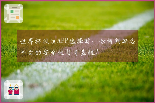 世界杯投注APP选择时，如何判断各平台的安全性与可靠性？