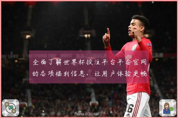 全面了解世界杯投注平台平台官网的各项福利信息，让用户体验更畅快
