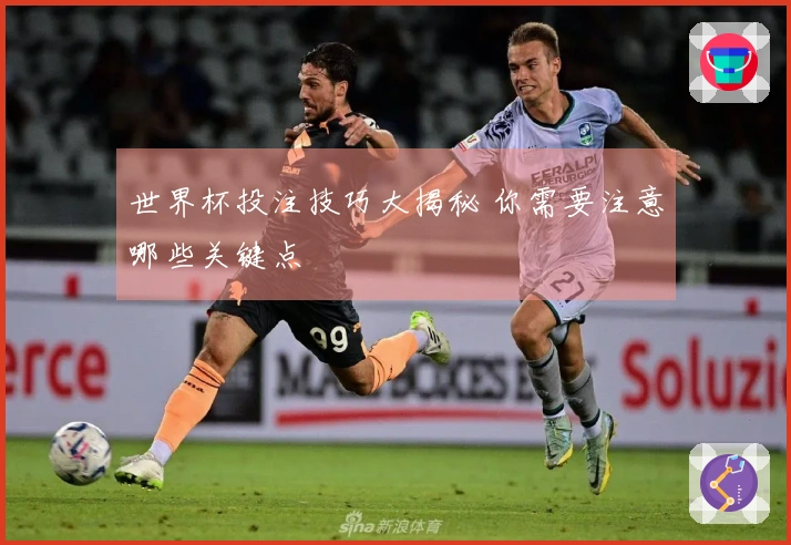 世界杯投注技巧大揭秘 你需要注意哪些关键点