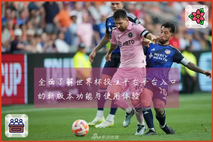 全面了解世界杯投注平台平台入口的新版本功能与使用体验