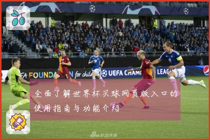 全面了解世界杯买球网页版入口的使用指南与功能介绍