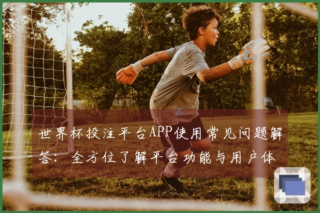 世界杯投注平台APP使用常见问题解答：全方位了解平台功能与用户体验