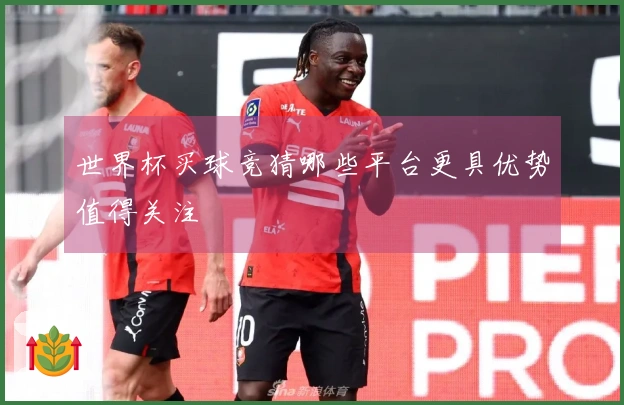 世界杯买球竞猜哪些平台更具优势值得关注