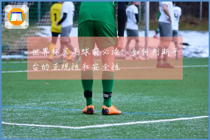 世界杯买足球前必读：如何判断平台的正规性和安全性