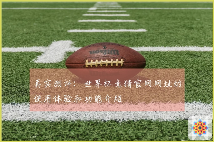 真实测评：世界杯竞猜官网网址的使用体验和功能介绍