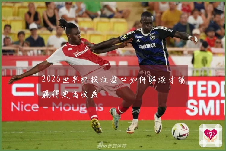 2026世界杯投注盘口如何解读才能赢得更高收益