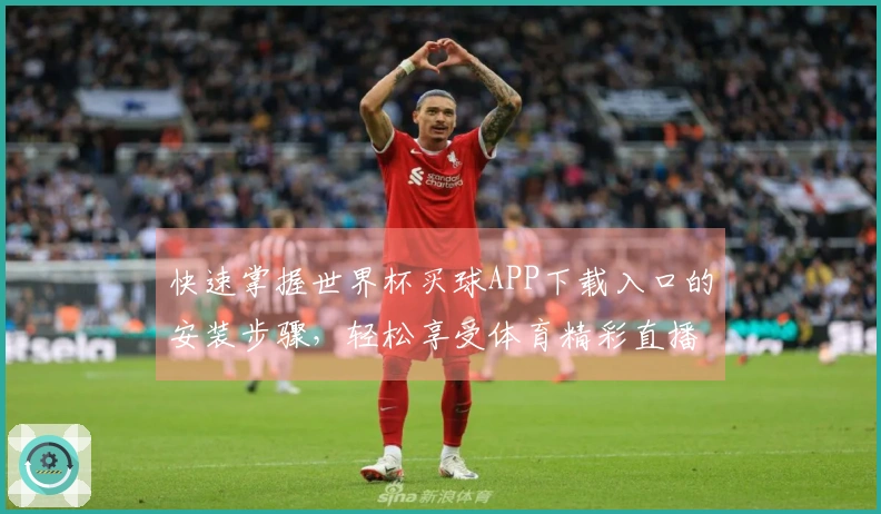 快速掌握世界杯买球APP下载入口的安装步骤，轻松享受体育精彩直播体验