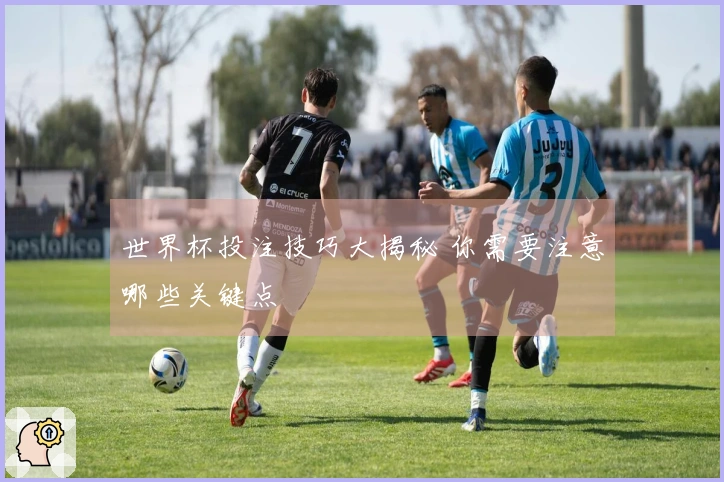 世界杯投注技巧大揭秘 你需要注意哪些关键点